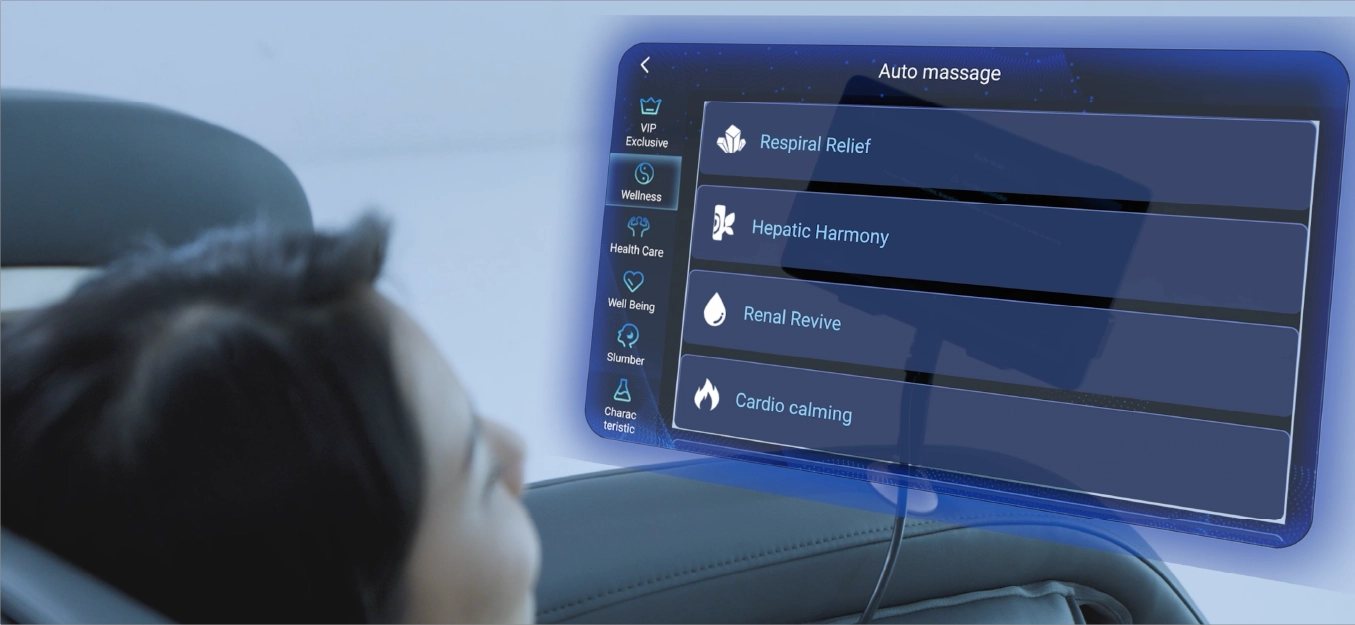 Meister Five Elements wellness programme interface
